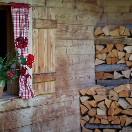 Saukaserstub'N Apartments - Ferienwohnung Schuetzkogel Jochberg Zewnętrze zdjęcie